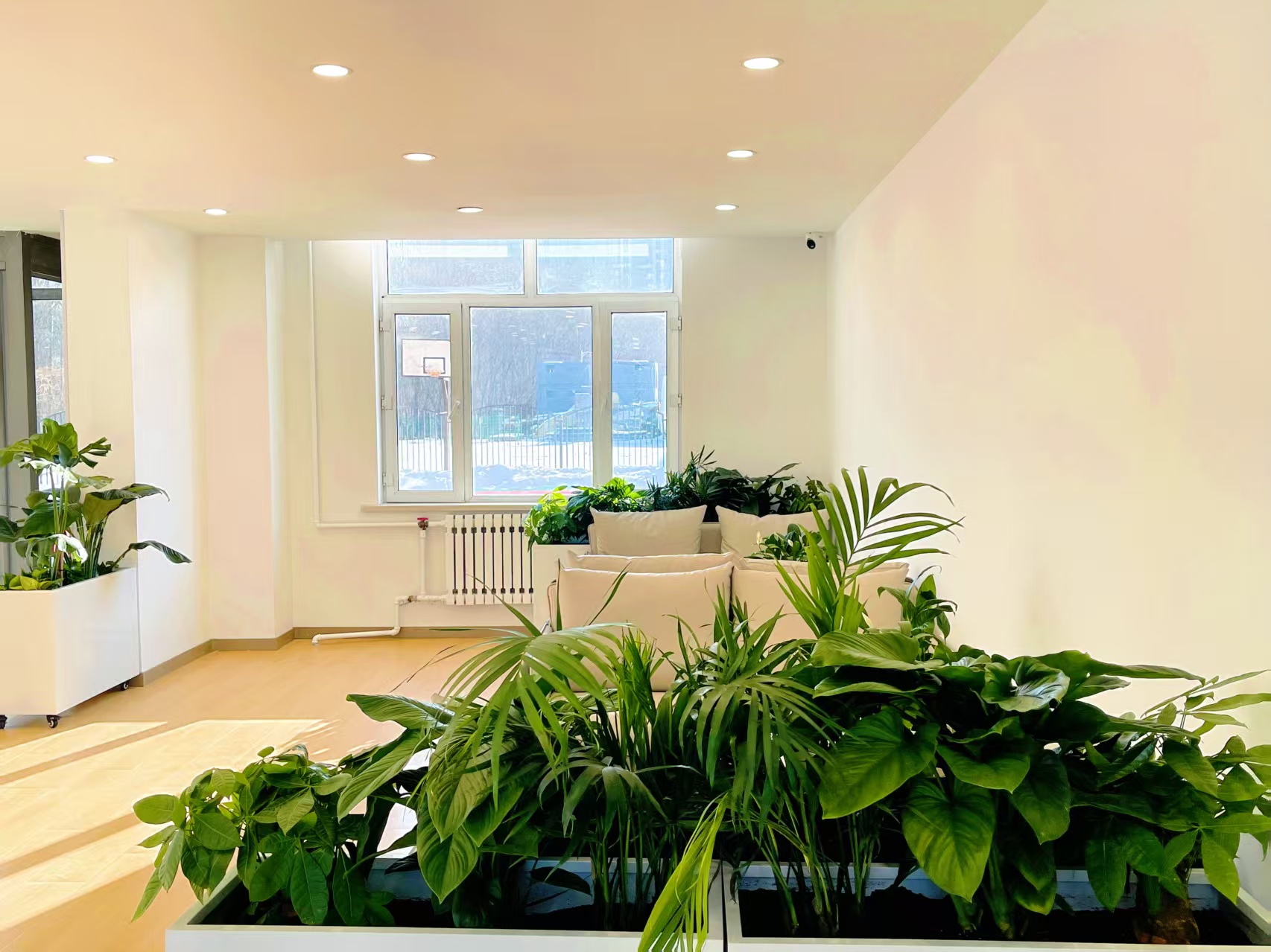 高考政治_理优清北教育封闭集训_高考冲刺政治专题课